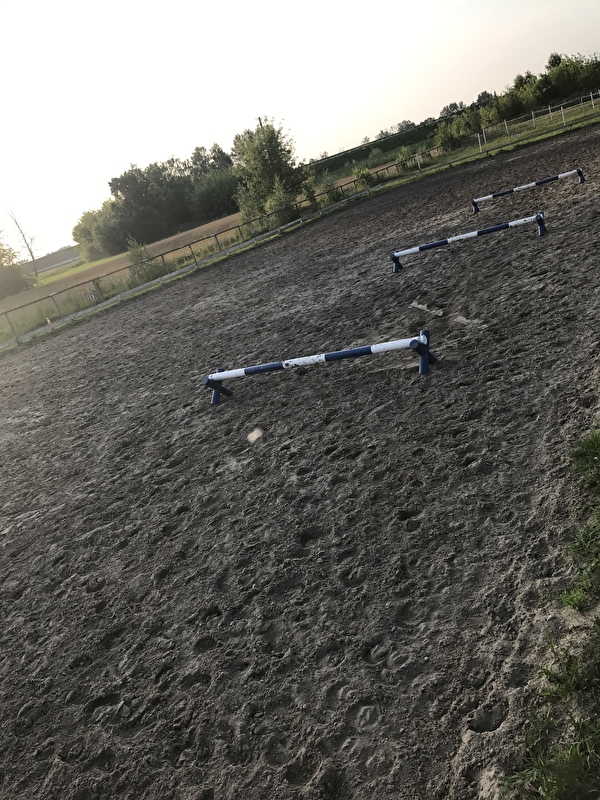 Stajnia Casa Cavallo - zdjęcie 5