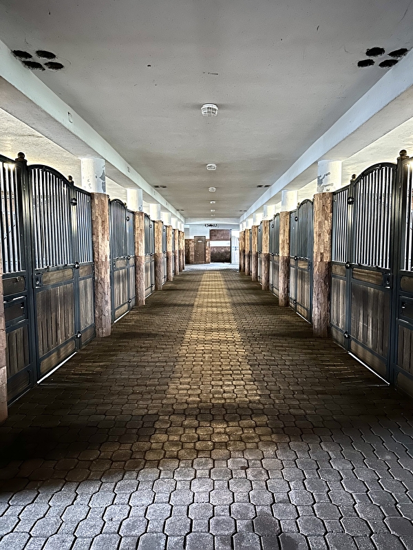 Pensjonat dla koni pod Warszawą - zdjęcie 2