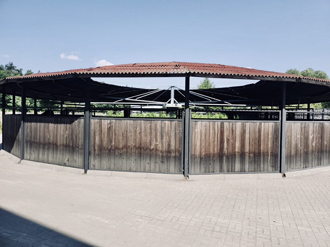 Pensjonat dla koni pod Warszawą - zdjęcie 6