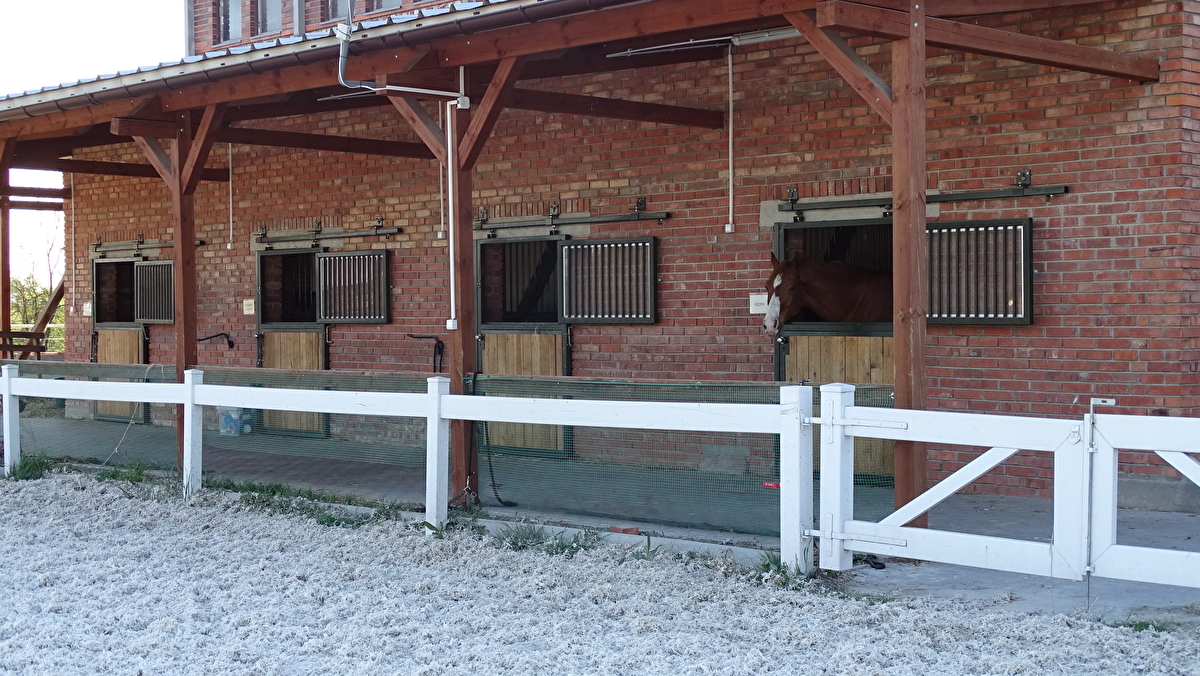Stajnia Krzyżanowice - zdjęcie 3
