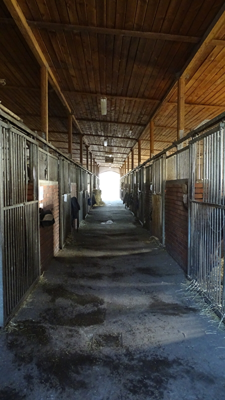 Stajnia Krzyżanowice - zdjęcie 6