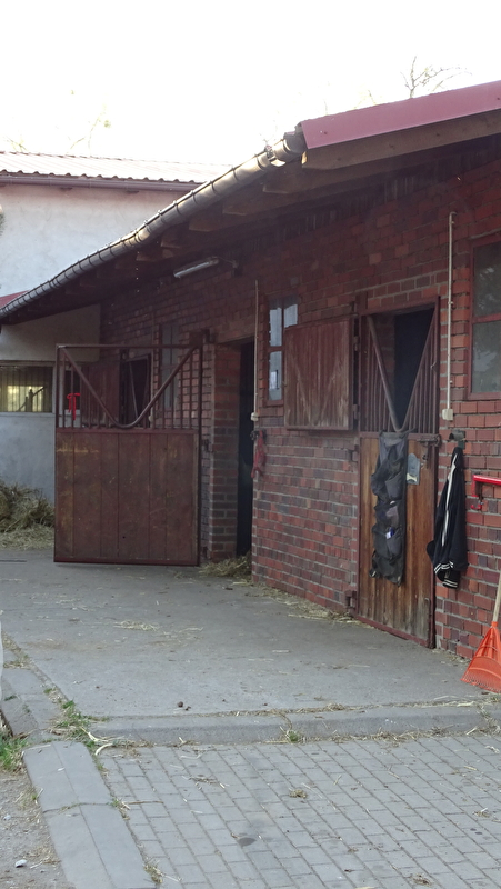 Stajnia Krzyżanowice - zdjęcie 11