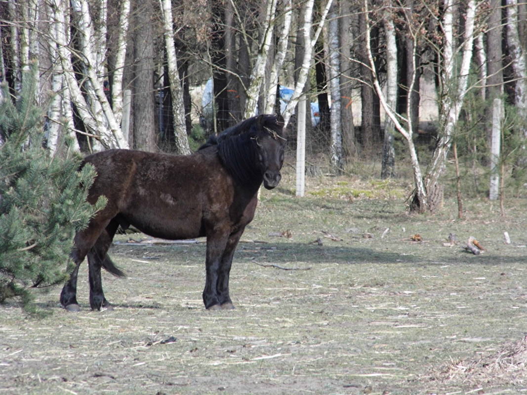 Agroturystyka Oleńka - zdjęcie 8