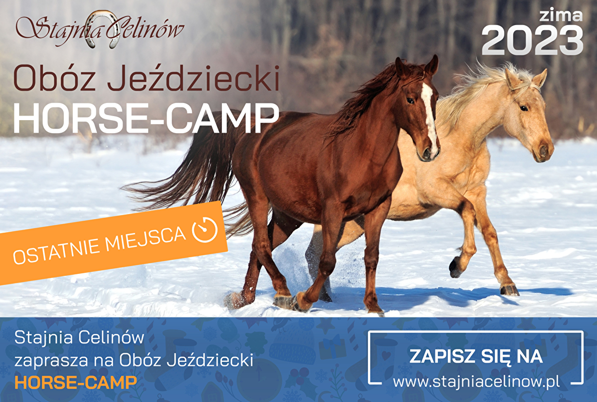 Stajnia Celinów - zdjęcie 1