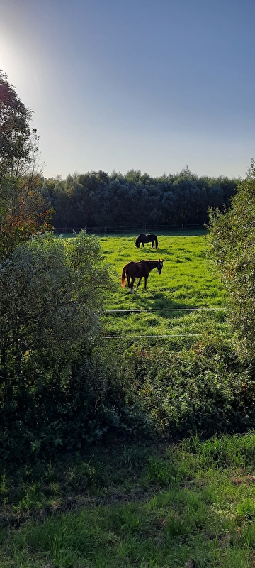 Stajnia Kępa Czernichów - zdjęcie 6