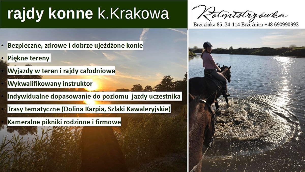 Rotmistrzówka - zdjęcie 4
