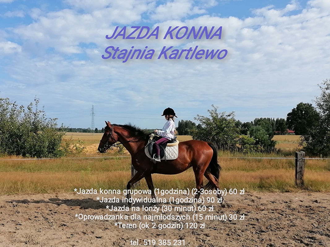 Stajnia Kartlewo - zdjęcie 1