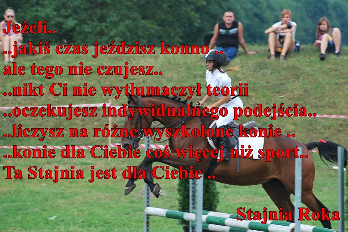 Stajnia Roka - zdjęcie 8