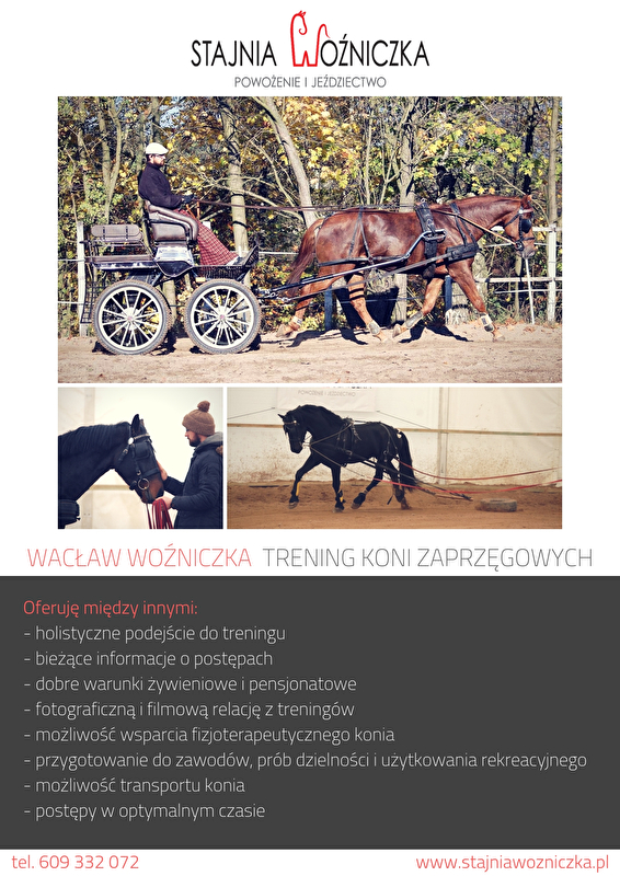 Stajnia Woźniczka - zdjęcie 10
