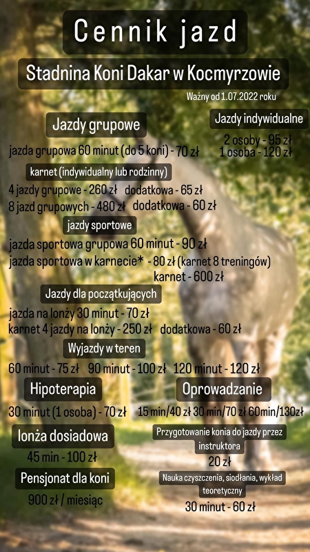 Stadnina Koni Dakar Kocmyrzów - zdjęcie 1