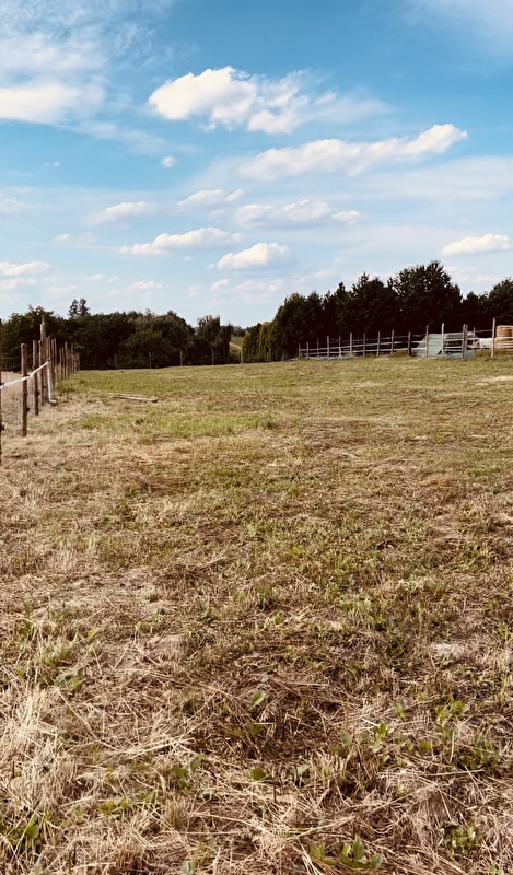 Stadnina Koni Dakar Kocmyrzów - zdjęcie 2