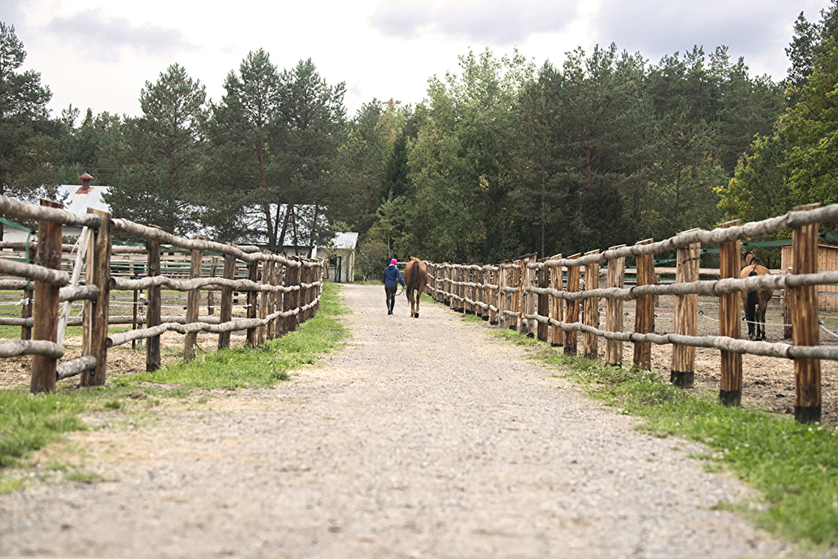 Ośrodek Jeździecki Equireno - zdjęcie 5