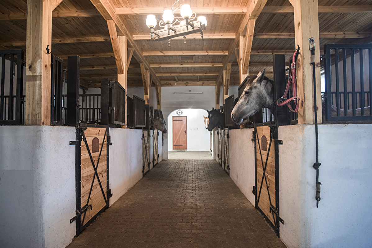 Ośrodek Jeździecki Equireno - zdjęcie 6