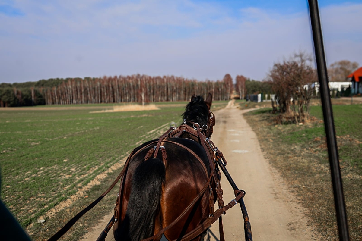 Strzelczyk Ranch - zdjęcie 5
