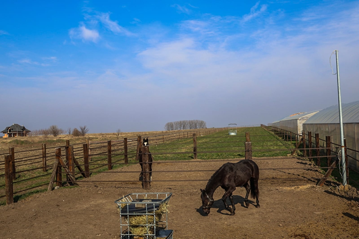 Strzelczyk Ranch - zdjęcie 7