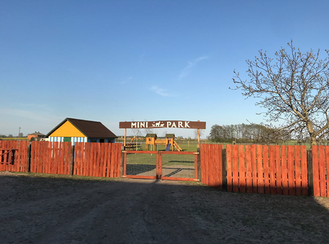 Stajnia Oleszcze - zdjęcie 5
