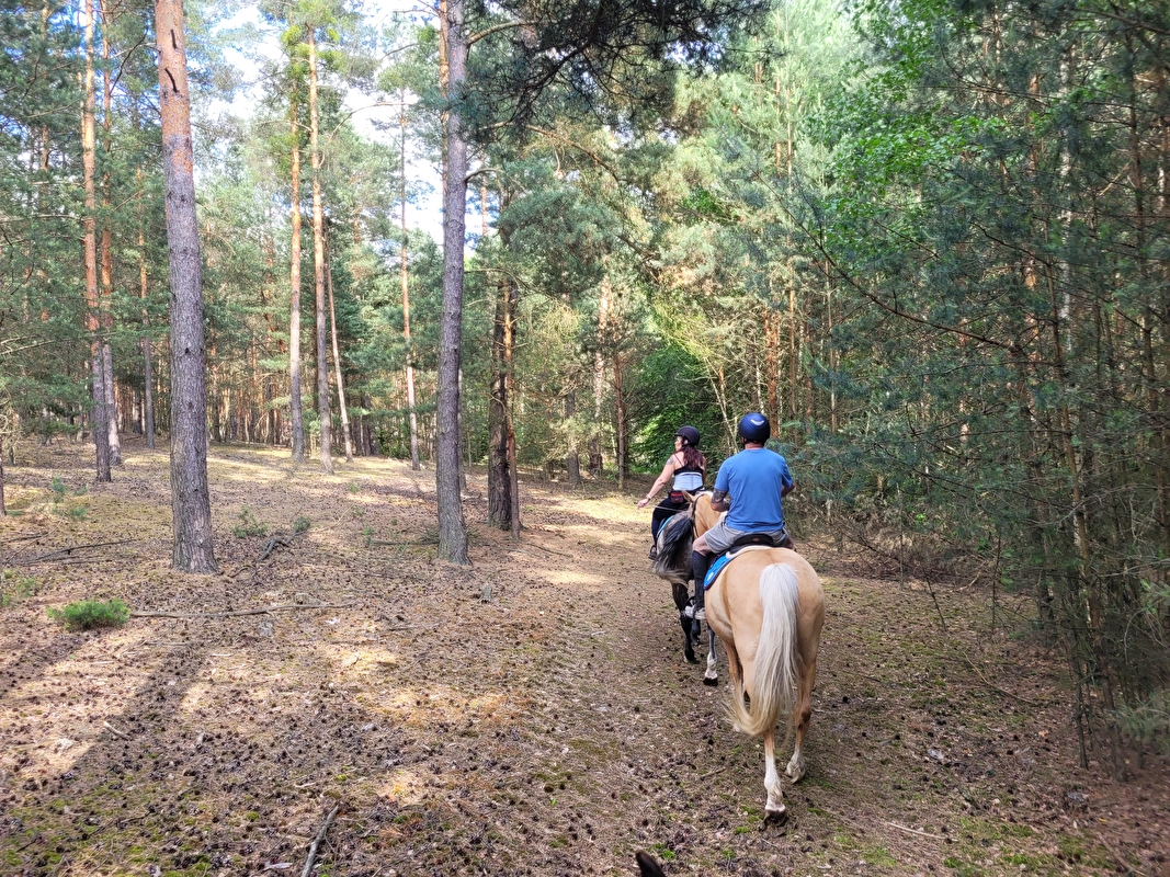 Stajnia Szczęśliwe Kopytko - zdjęcie 7