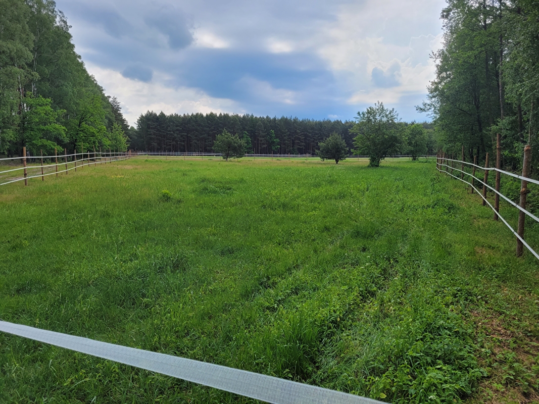 Stajnia Szczęśliwe Kopytko - zdjęcie 9