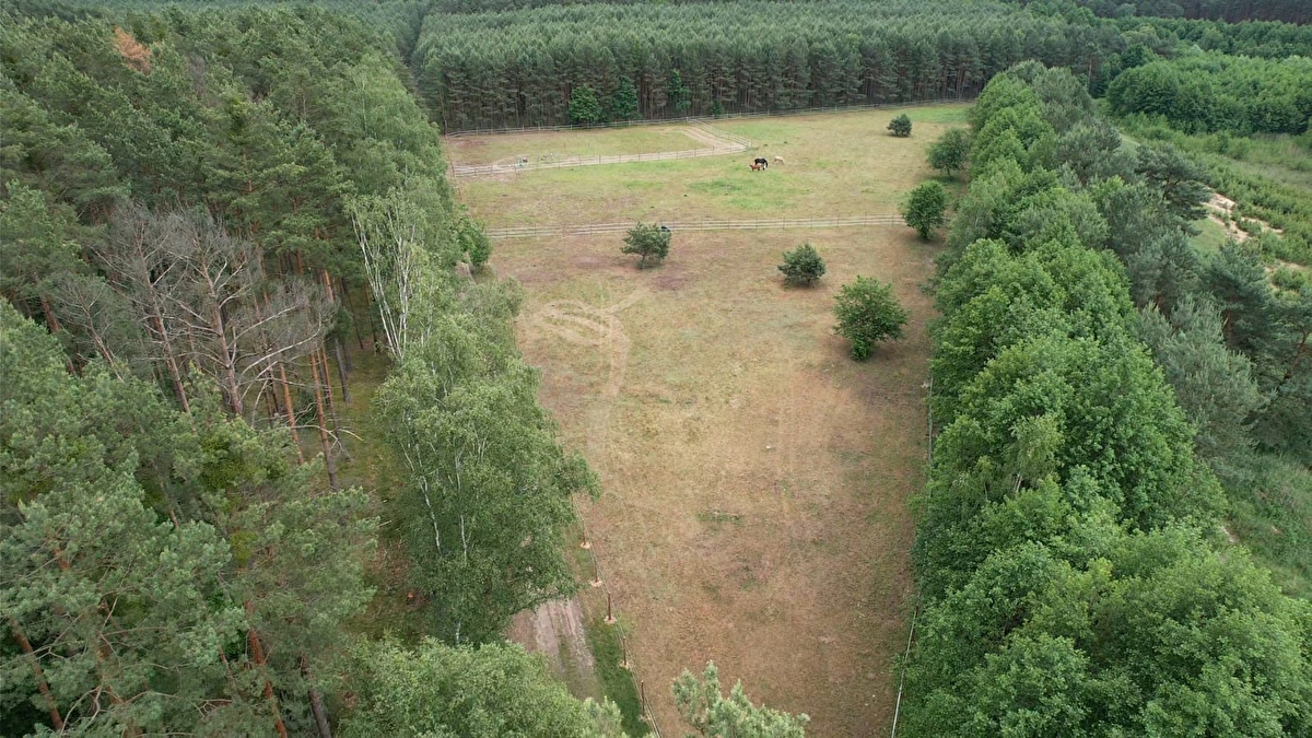 Stajnia Szczęśliwe Kopytko - zdjęcie 14