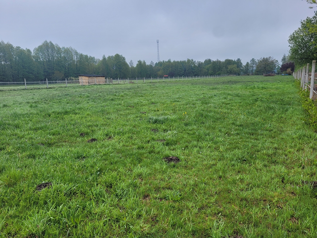 Stajnia Szczęśliwe Kopytko - zdjęcie 16