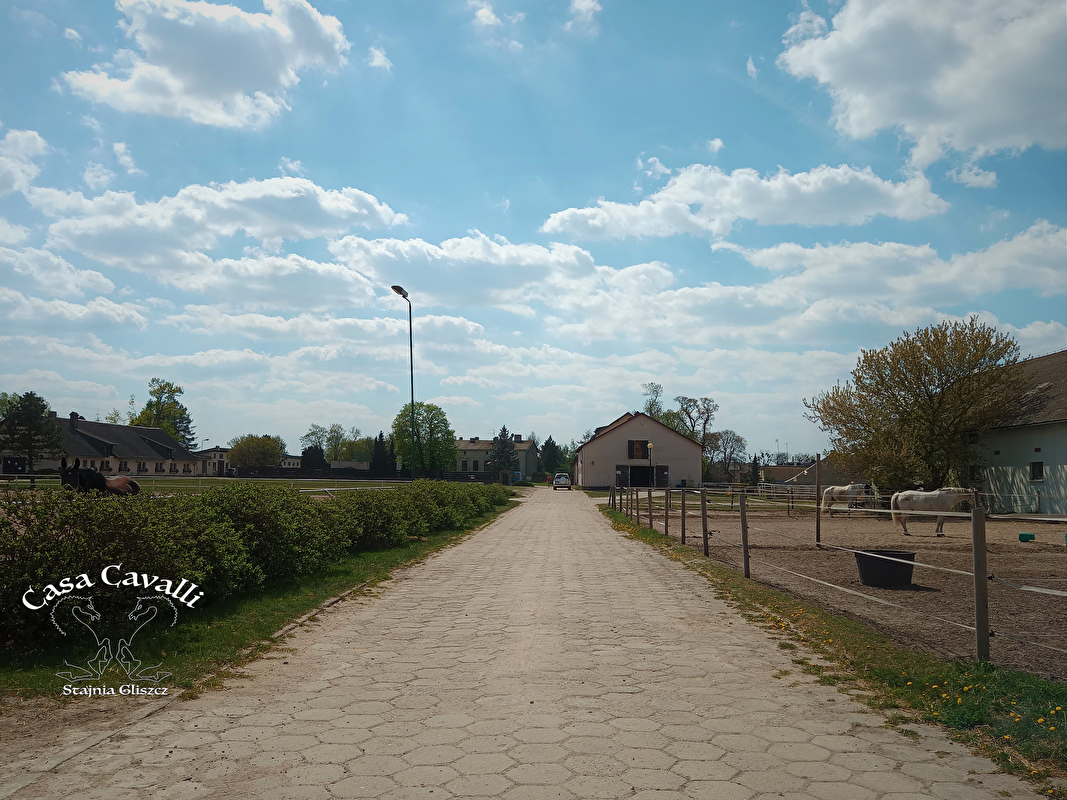 CasaCavalli Stajnia Gliszcz - zdjęcie 7