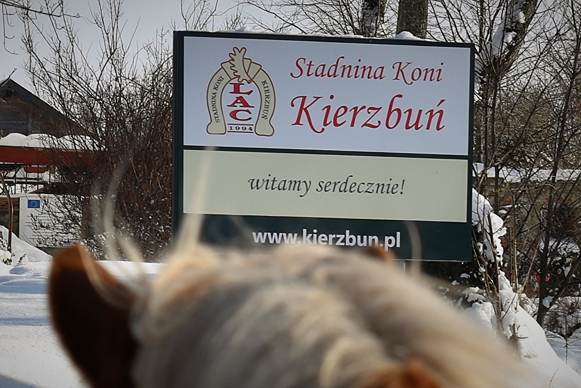 Stadnina Koni Kierzbuń - zdjęcie 10