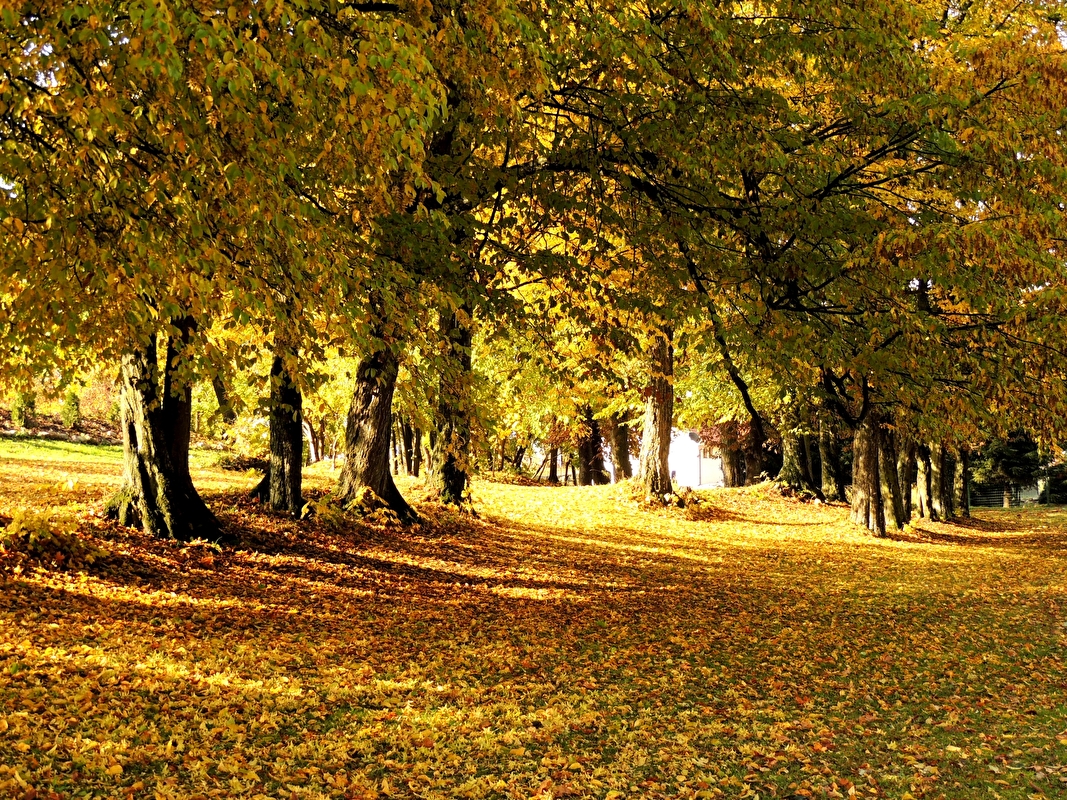 Stadnina Koni Kierzbuń - zdjęcie 28