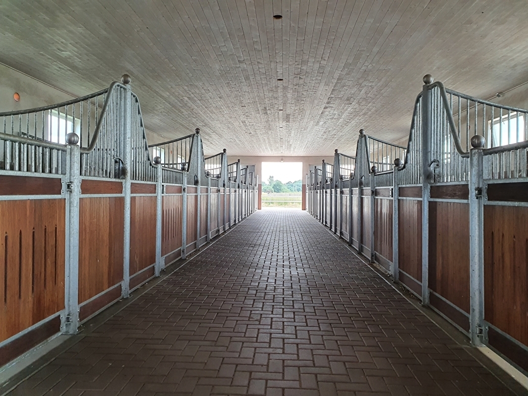 Koronowo Arabian Stud - zdjęcie 2