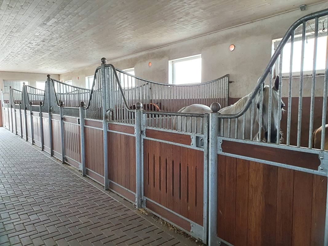Koronowo Arabian Stud - zdjęcie 6