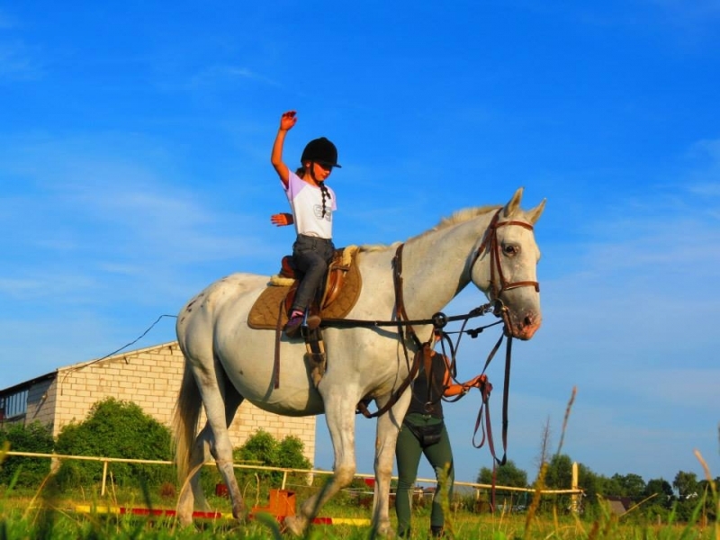 Gospodarstwo Agroturystyczne Mustang - zdjęcie 1