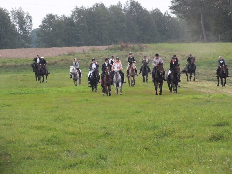 Gospodarstwo Agroturystyczne Mustang - zdjęcie 2