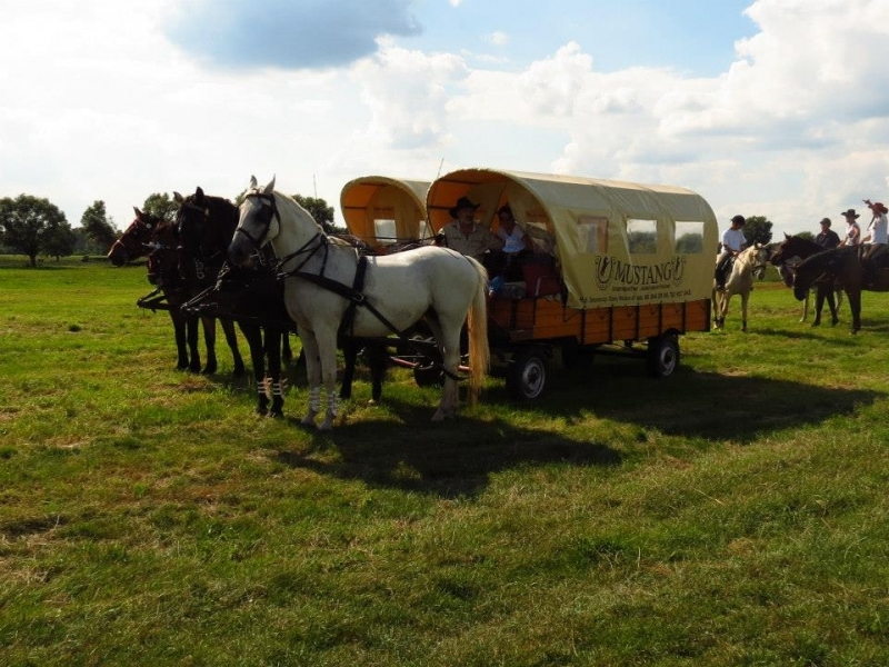 Gospodarstwo Agroturystyczne Mustang - zdjęcie 3