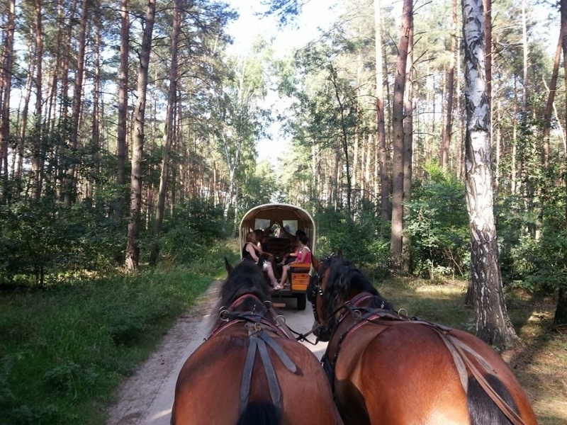 Gospodarstwo Agroturystyczne Mustang - zdjęcie 4