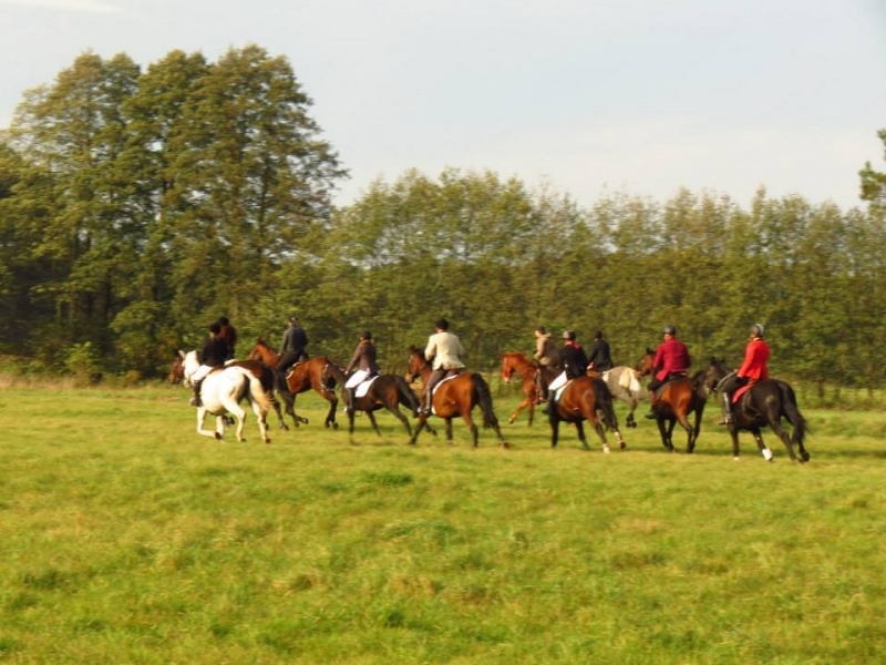 Gospodarstwo Agroturystyczne Mustang - zdjęcie 6