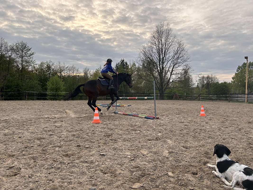 Horse Haven - zdjęcie 6