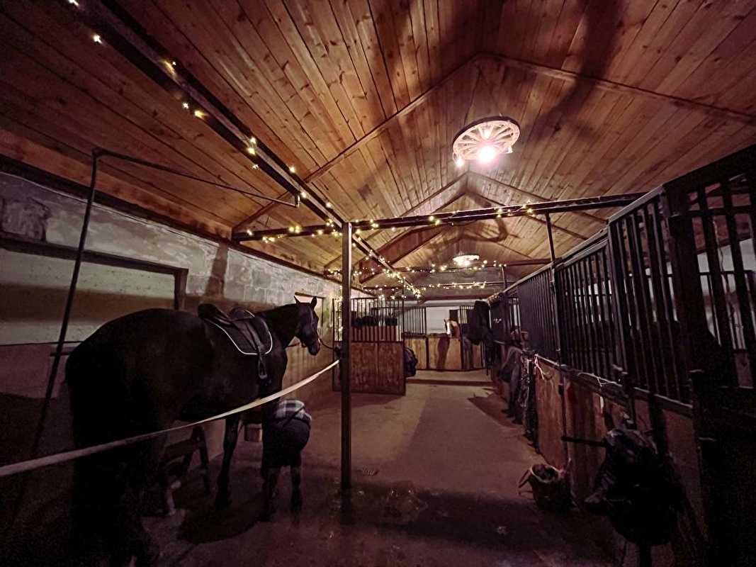 Horse Haven - zdjęcie 11