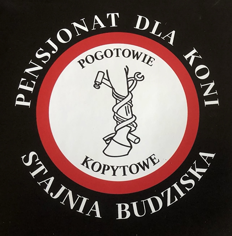 Stajnia Budziska Pensjonat Dla Koni - zdjęcie 4