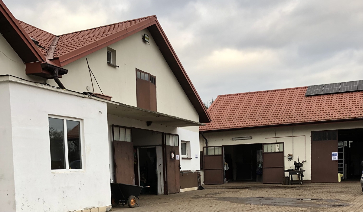 Stajnia Budziska Pensjonat Dla Koni - zdjęcie 18