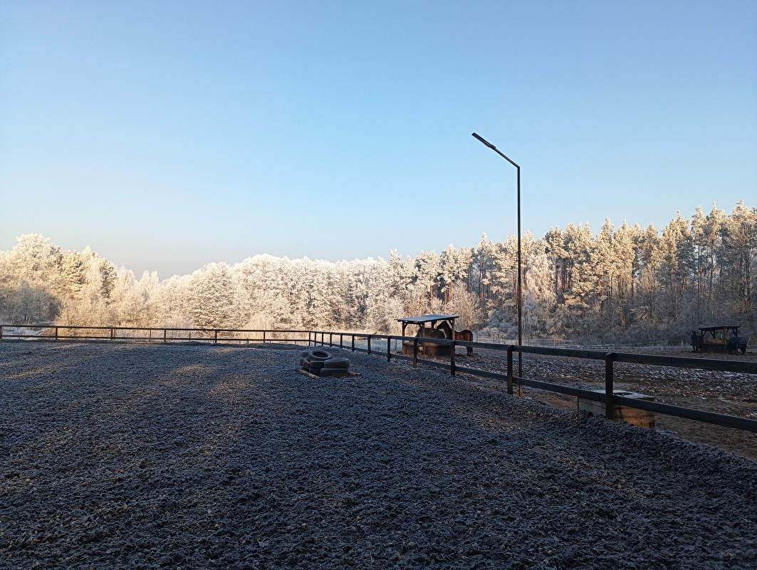 Stajnia Konie na Truskach - zdjęcie 2