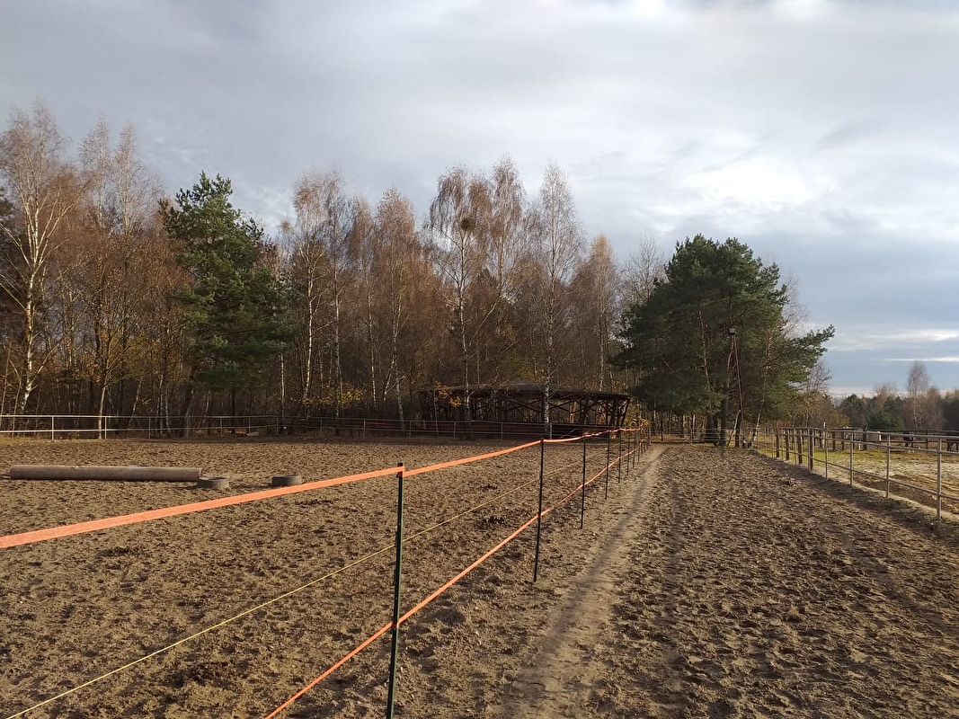 Studencki Klub Jeździecki w Lesiowie - zdjęcie 2